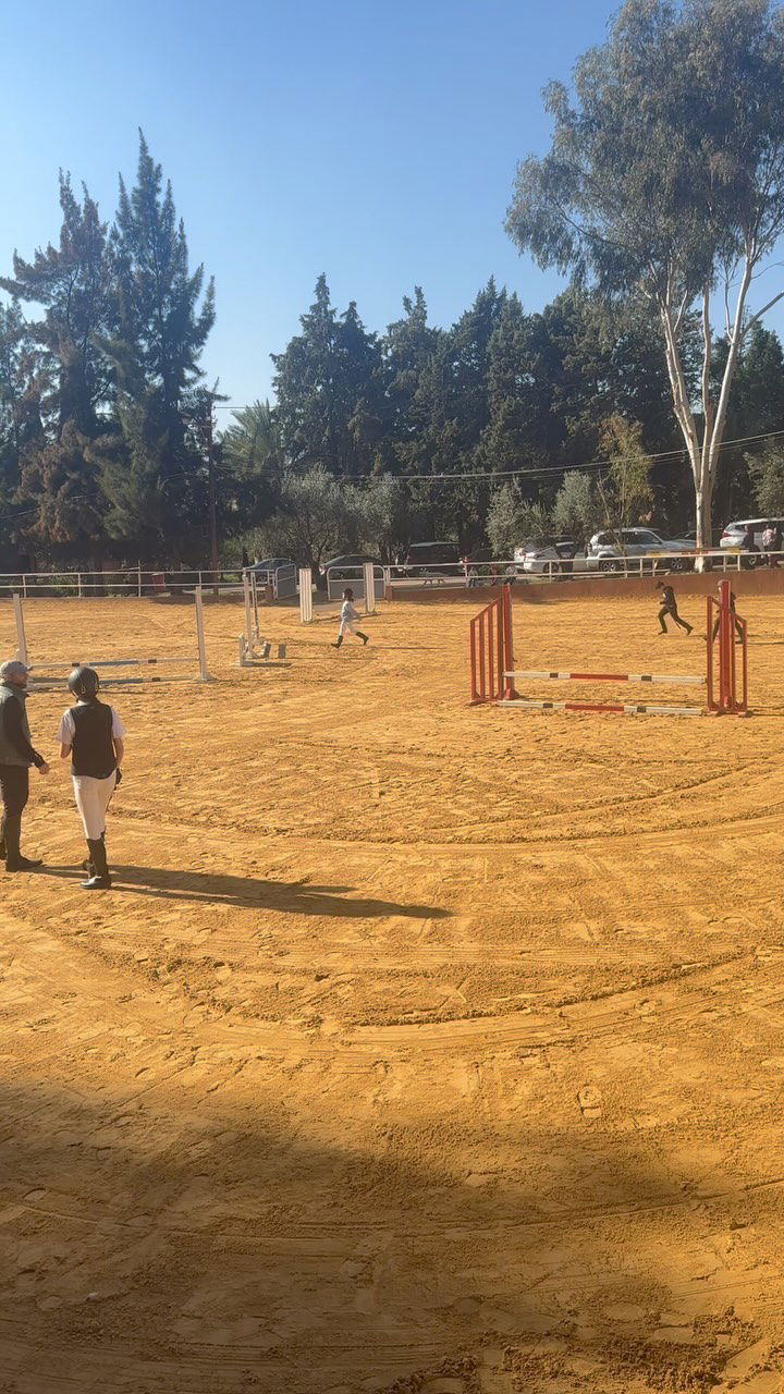 Reef Horse Club