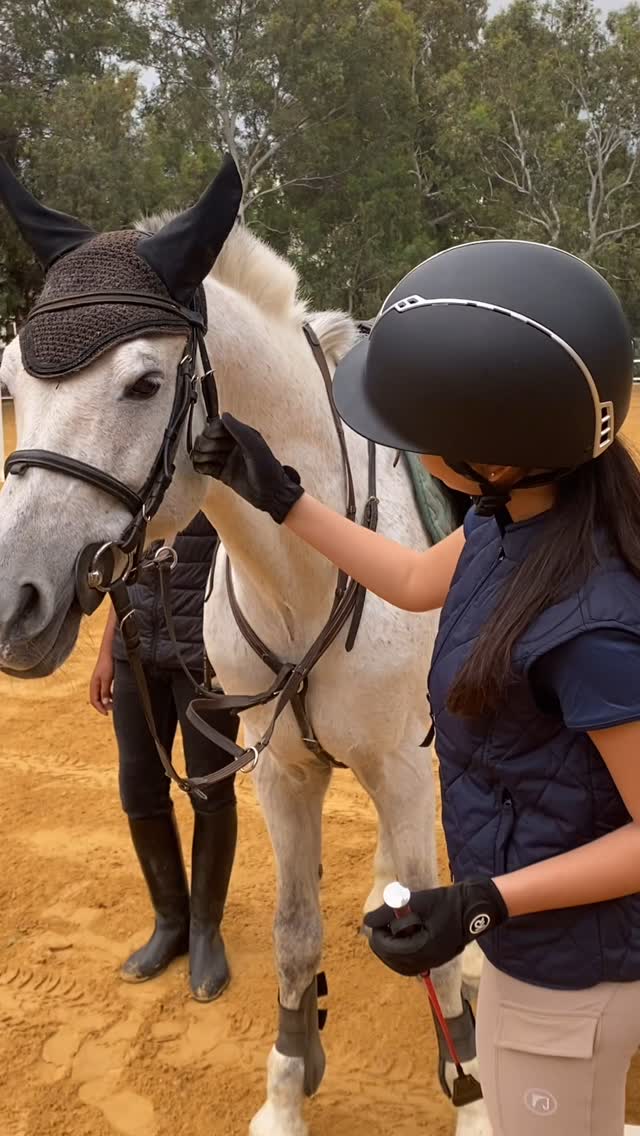 Reef Horse Club
