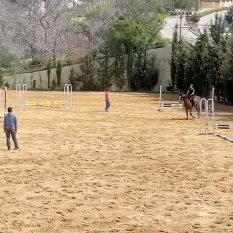 Mechref Equestrian Club