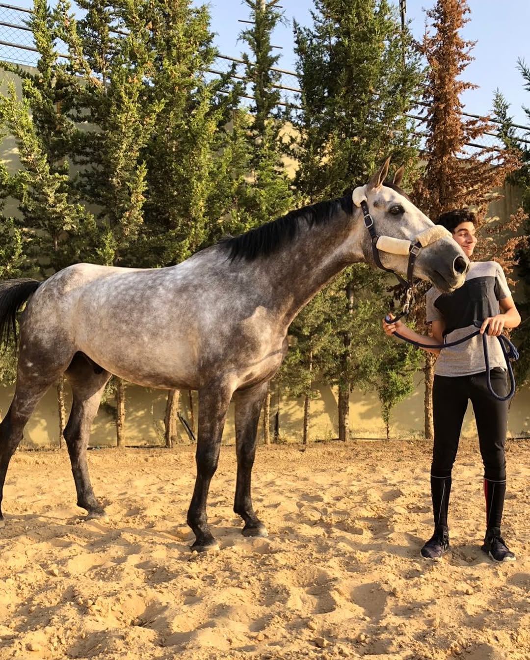 Mechref Equestrian Club