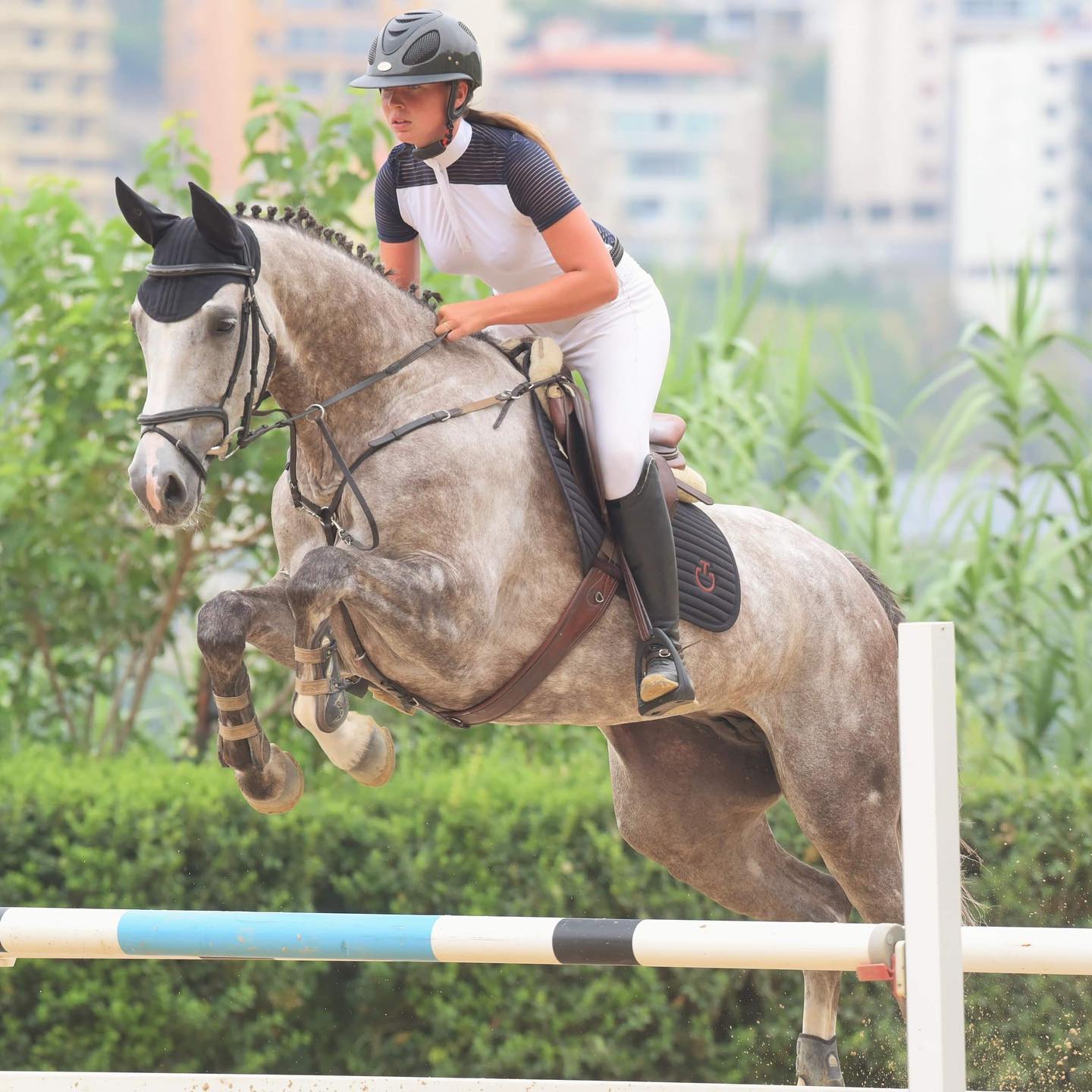 Mechref Equestrian Club