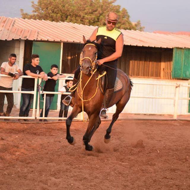 نادي الصهوة للفروسية
