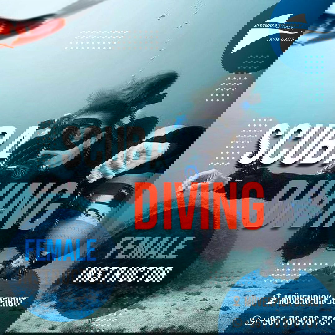 Stingray Divers