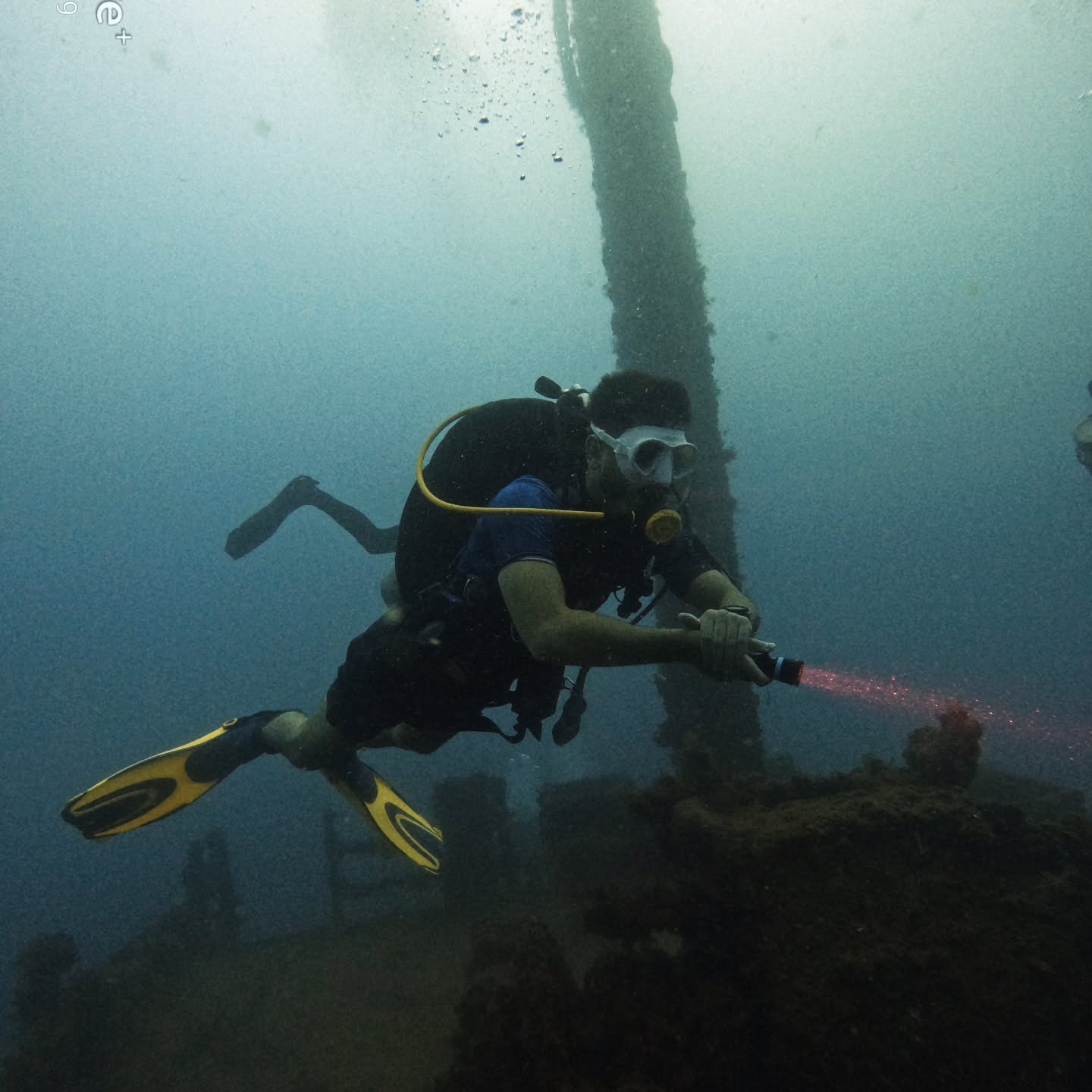 Stingray Divers