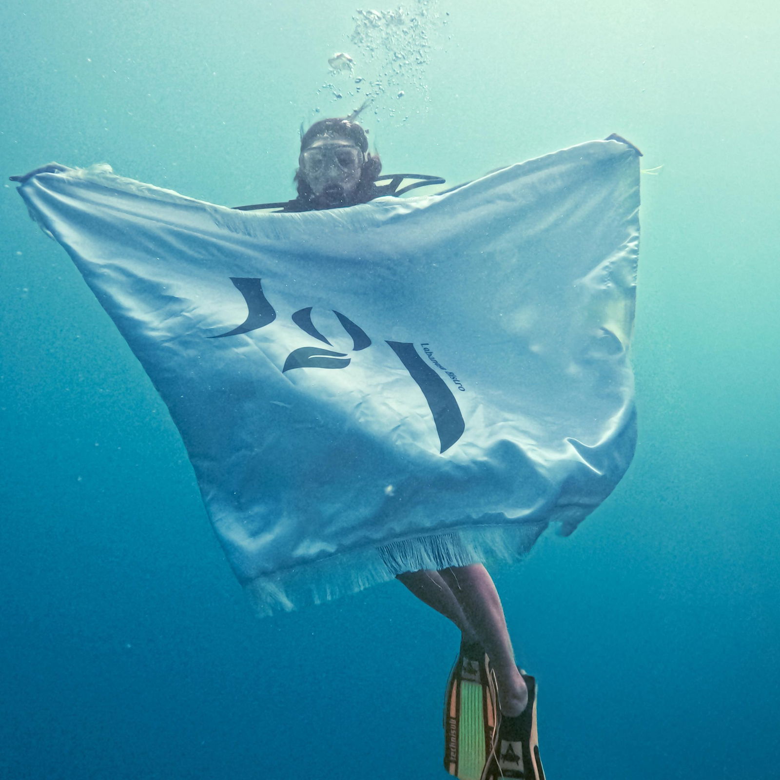 Stingray Divers
