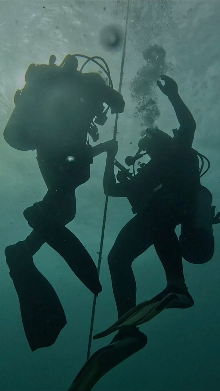 Stingray Divers