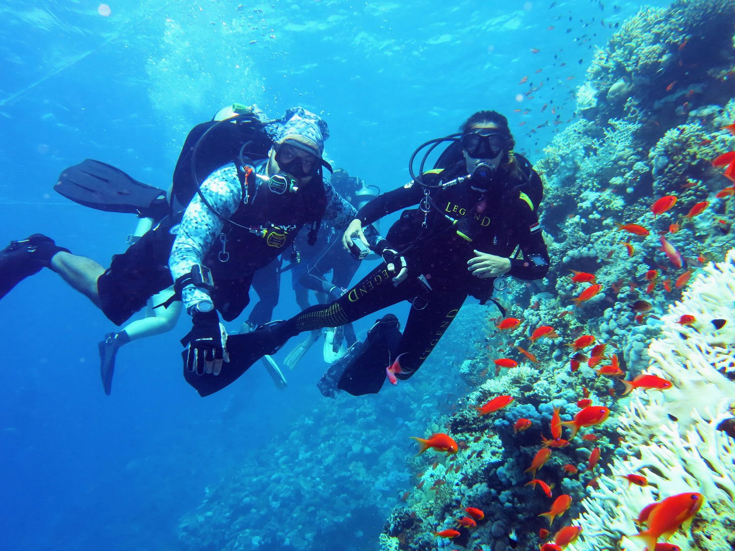 Stingray Divers