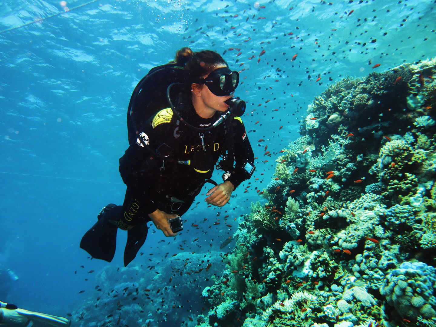 Stingray Divers