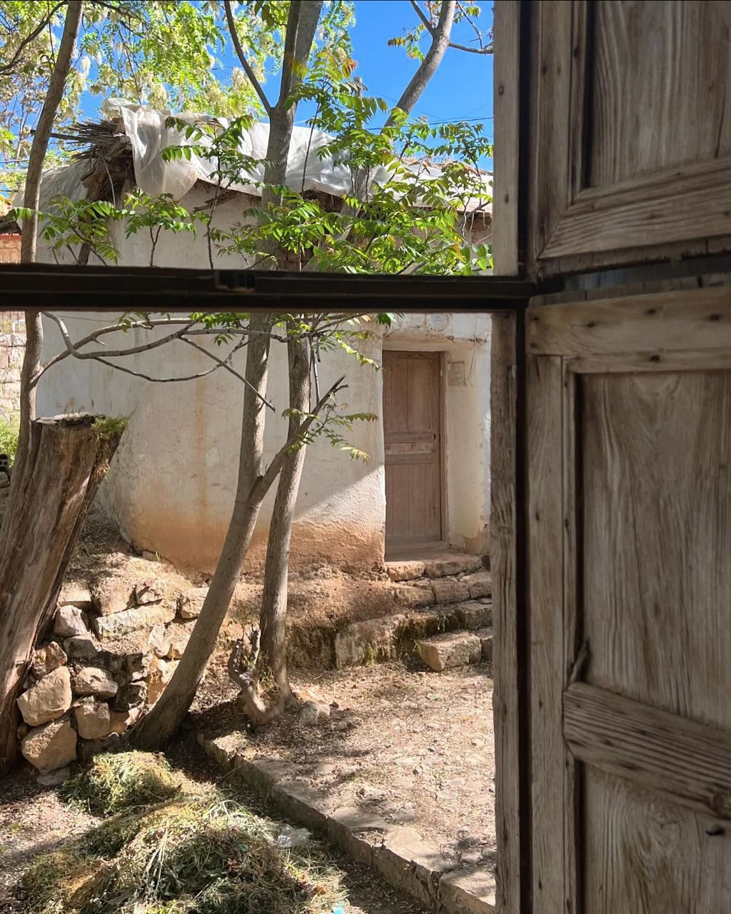 Ecolodge (1) – Taanayel, Beqaa