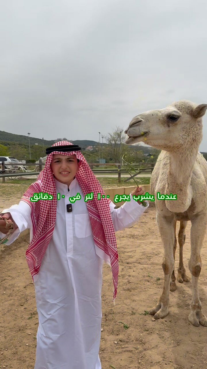 مم فارمز ليبانون