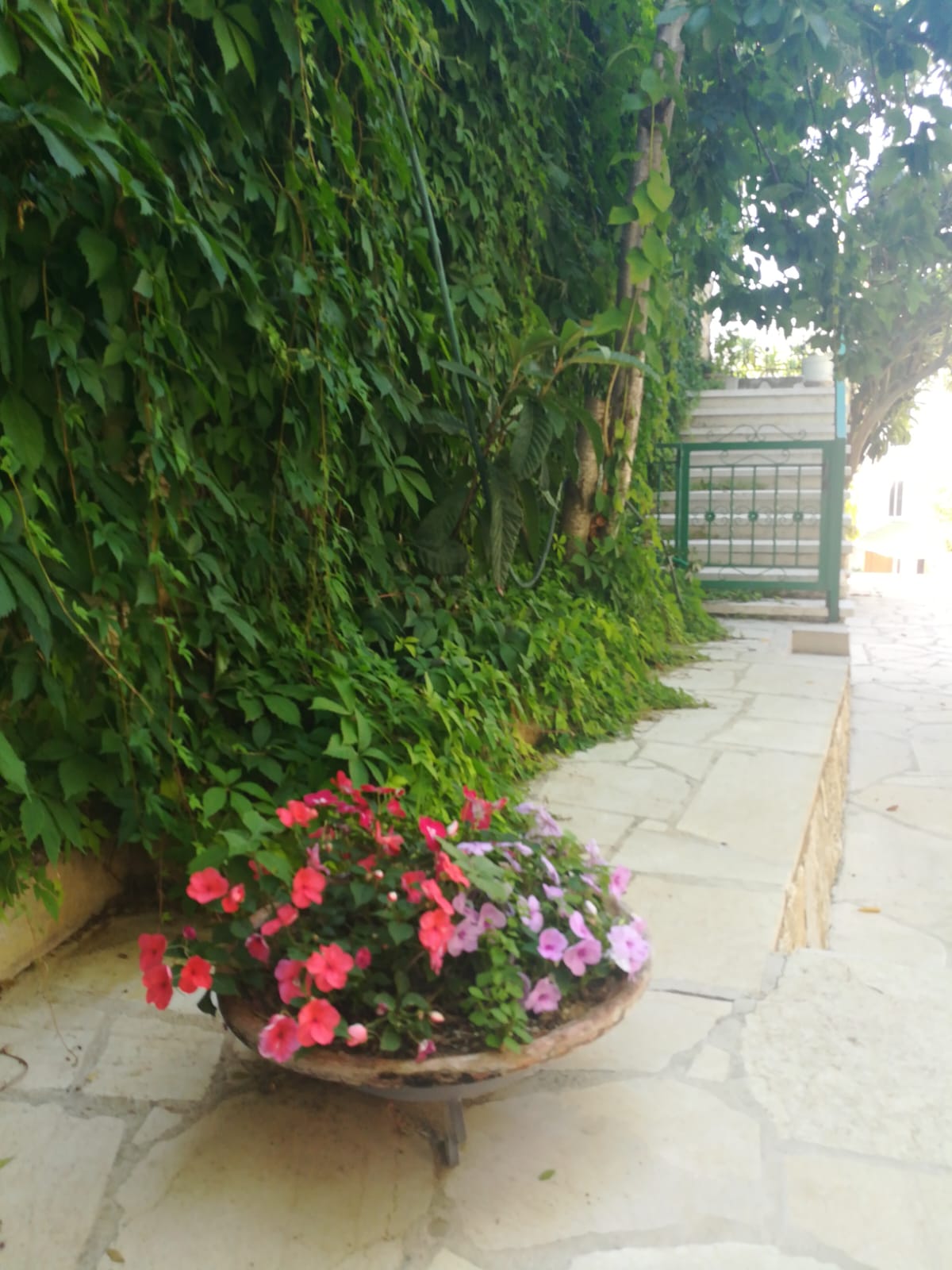بيت قديم – الباروك