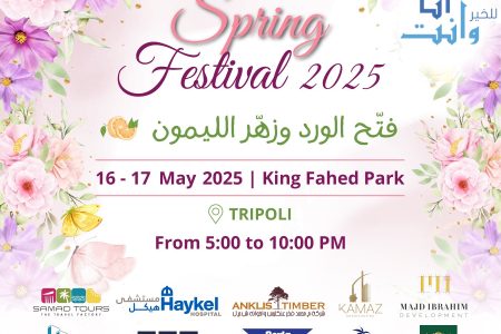 Spring Festival 2025