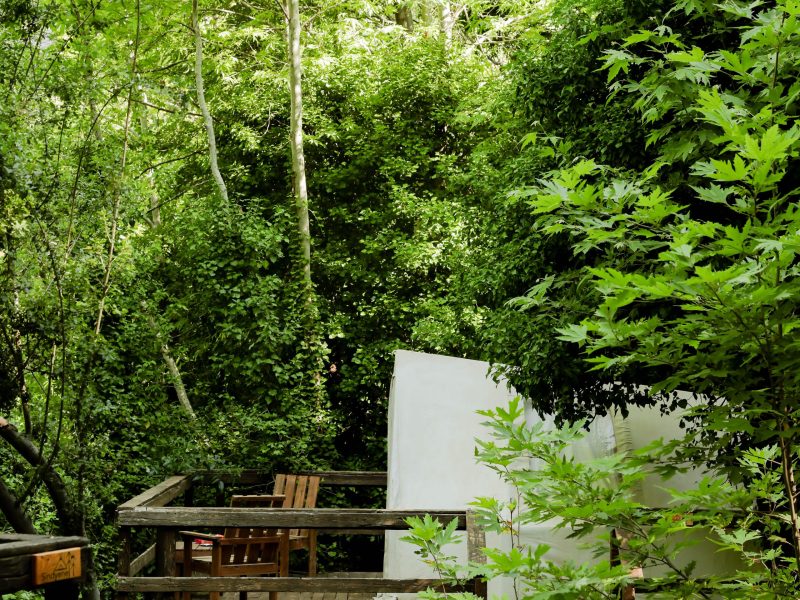 Camping on River Side – Tannourine