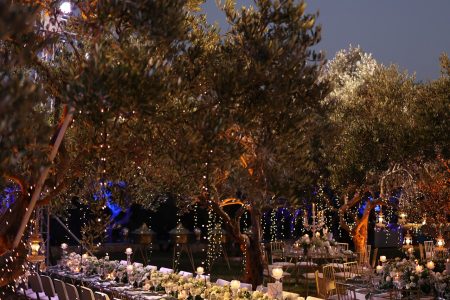 Beit Haifa