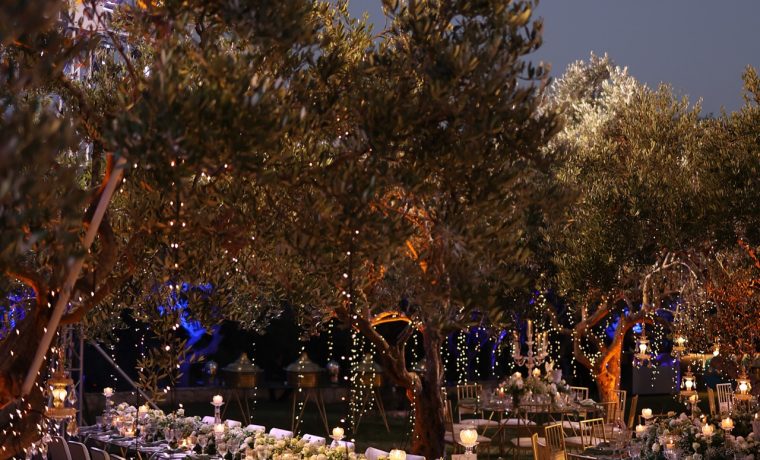 Beit Haifa
