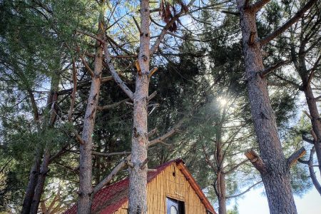 Camping Site – Beit Monzer, Bcharre