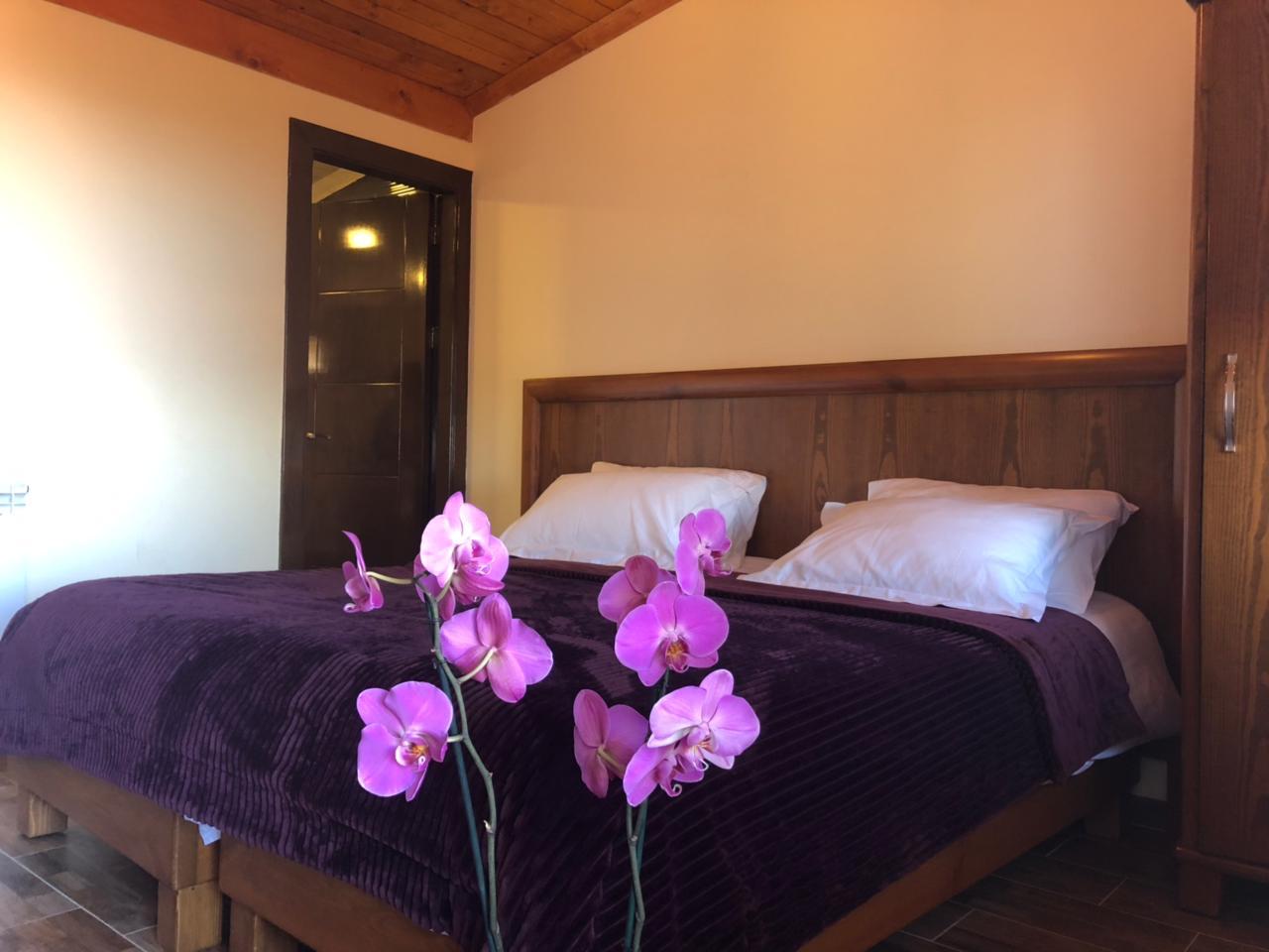 Standard Room in a Resort (1) – Jezzine