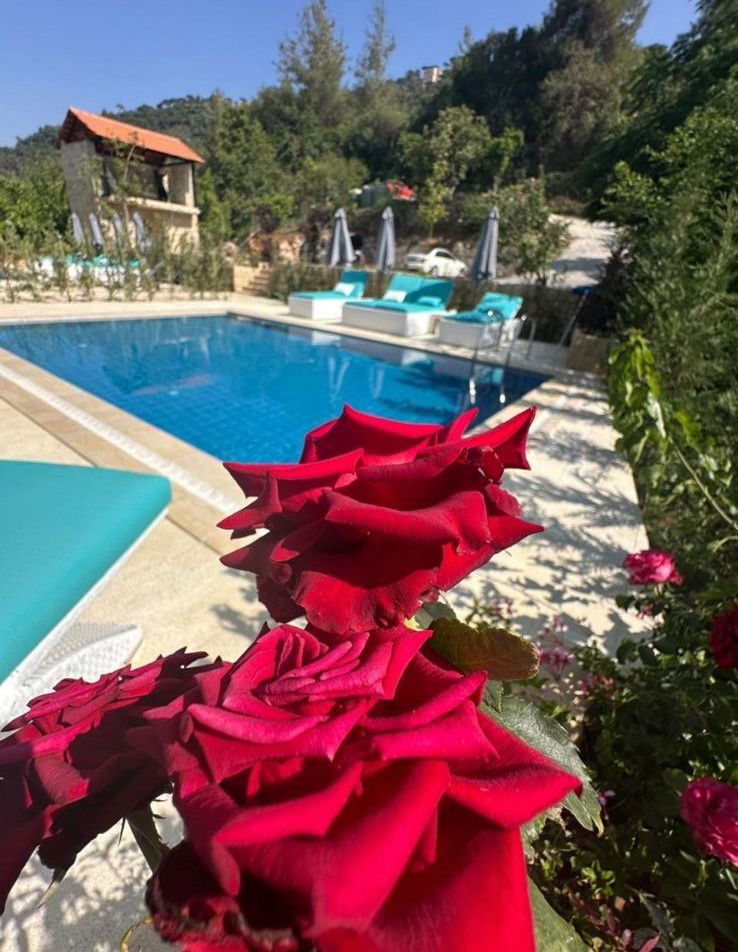 Chalet Two with Private Pool – Jeser el Qadi, Chouf