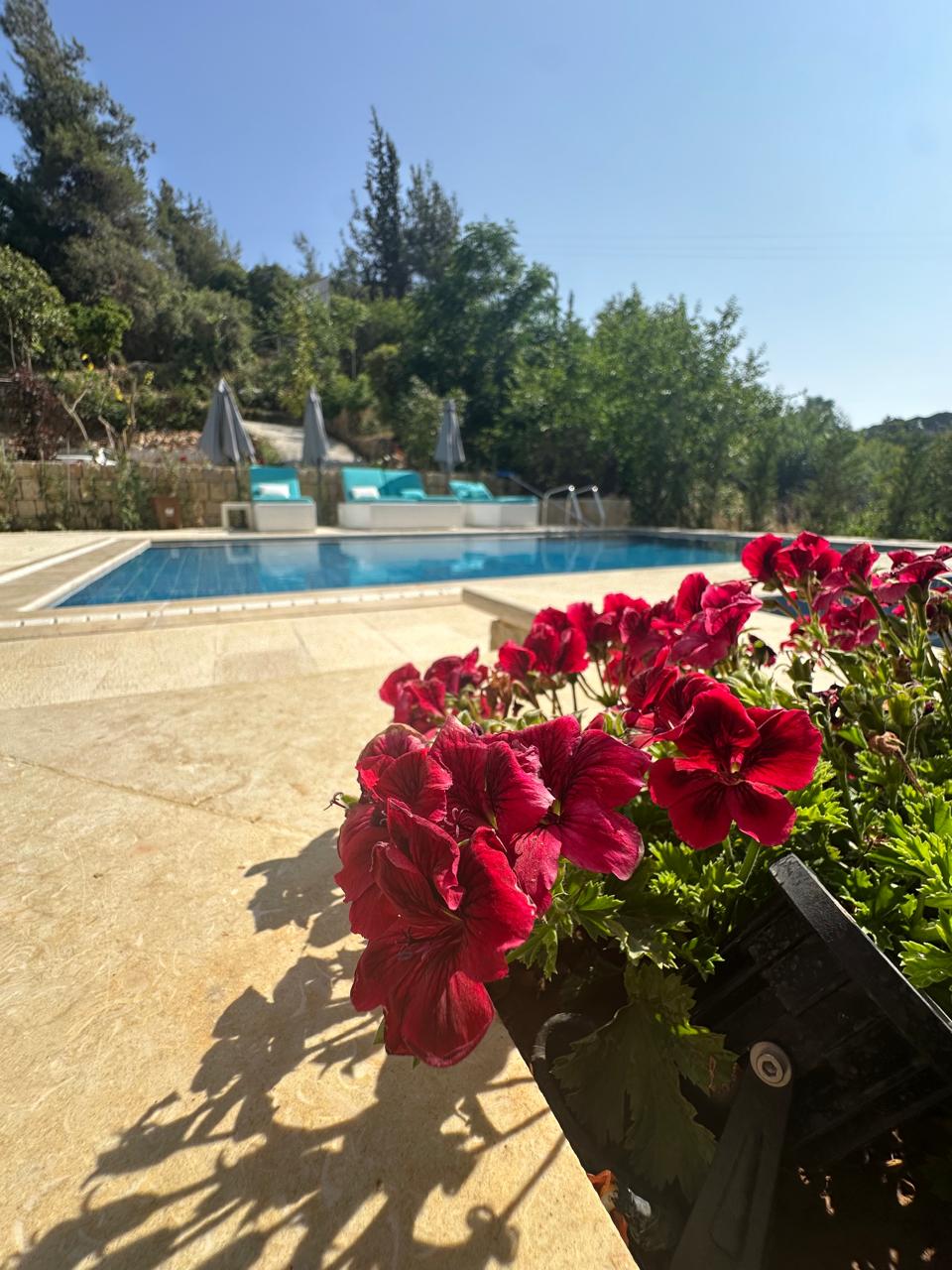 Chalet One with Private Pool – Jeser el Qadi, Chouf