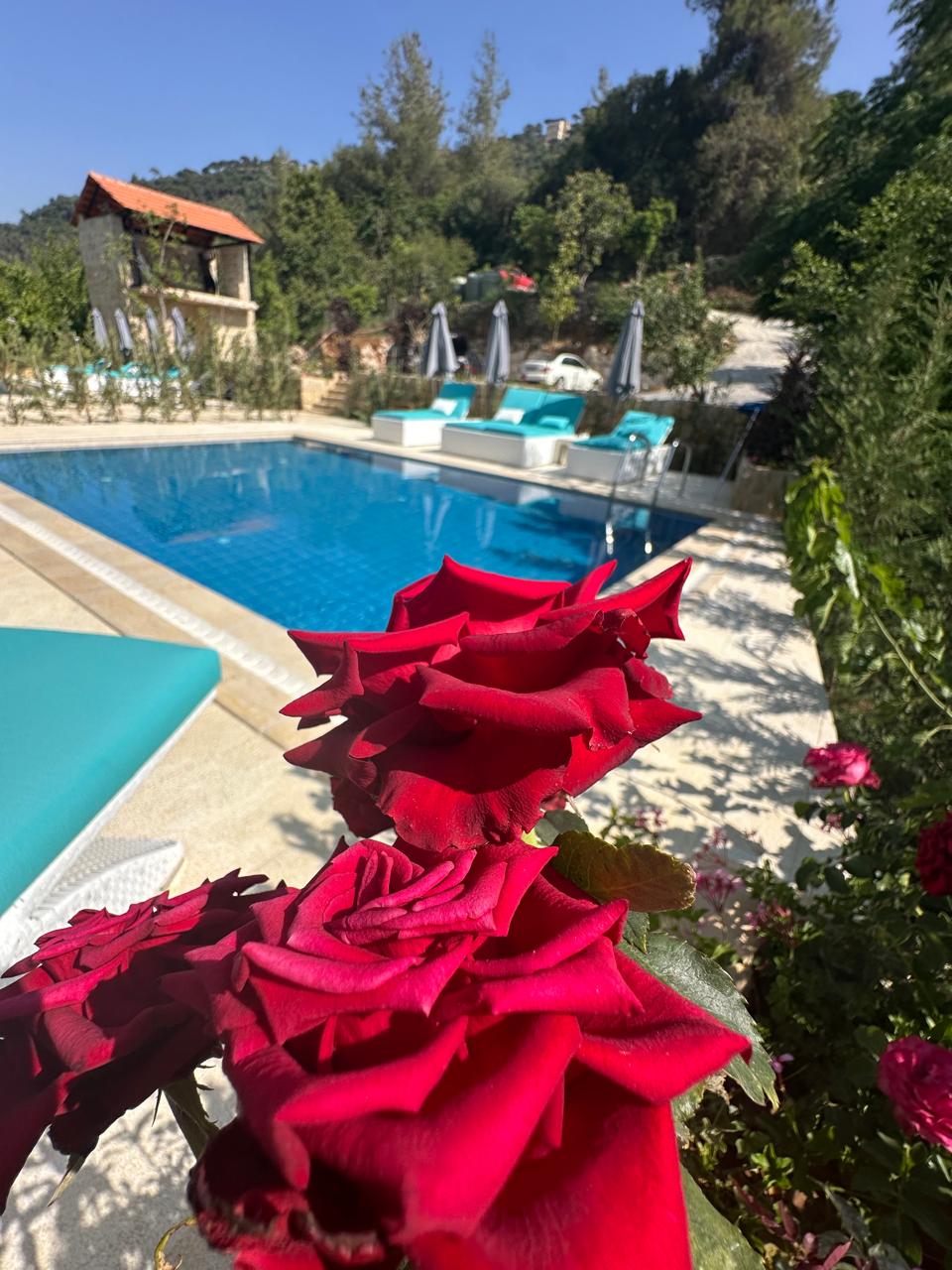 Chalet One with Private Pool – Jeser el Qadi, Chouf