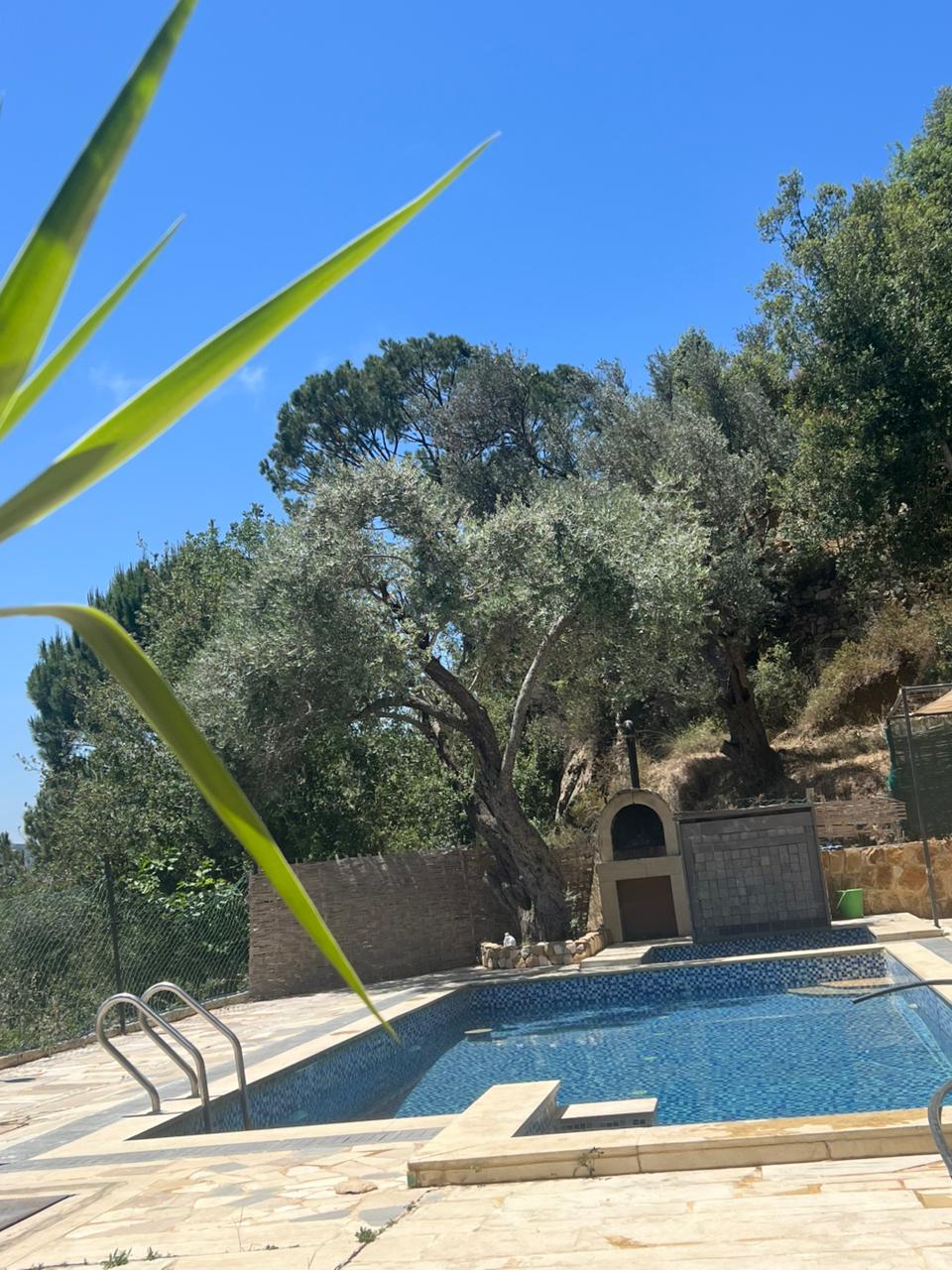 Heaven Private Pool and Chalet – Kfarmatta