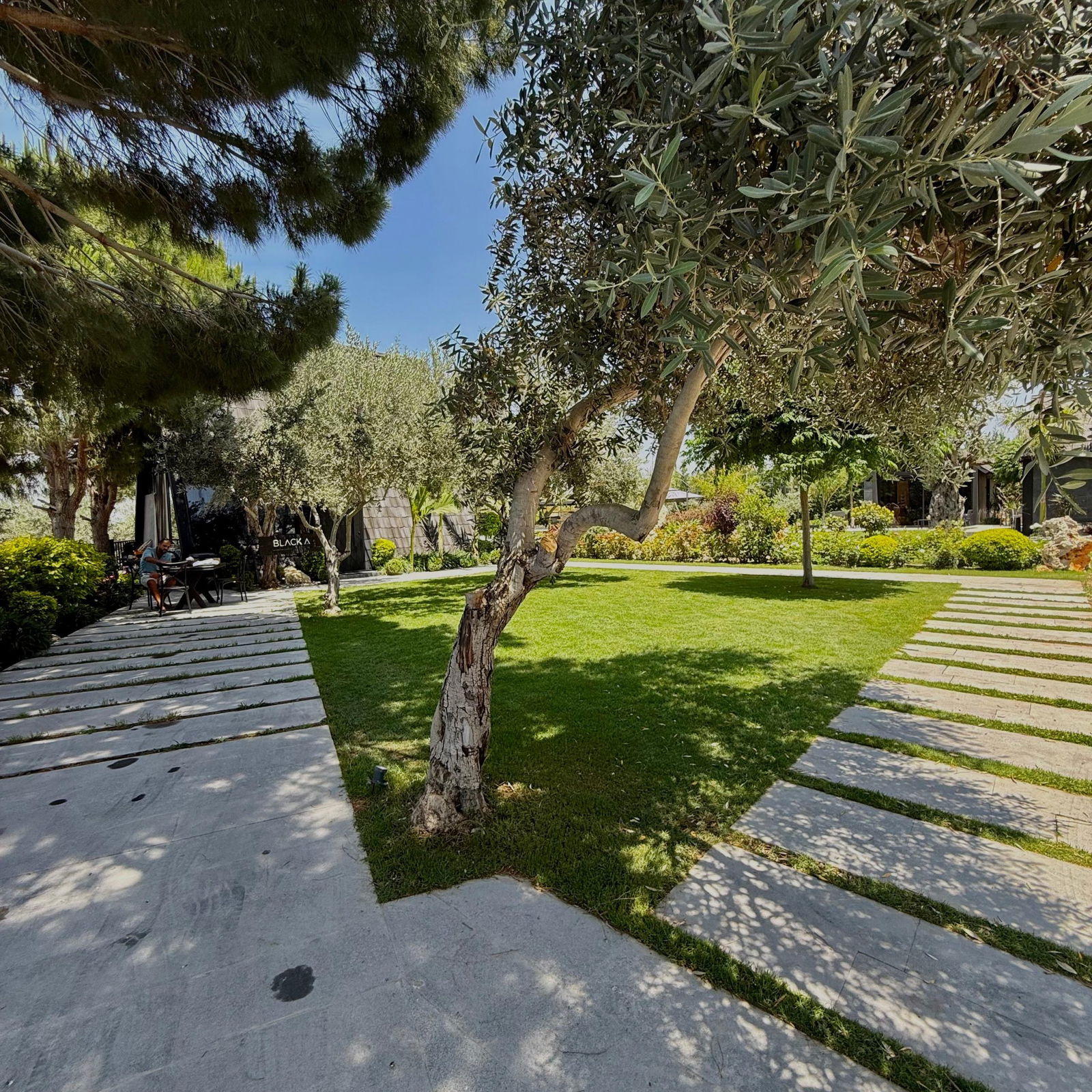 Luxurious Guesthouse with Pool – Bebliyeh, Saida