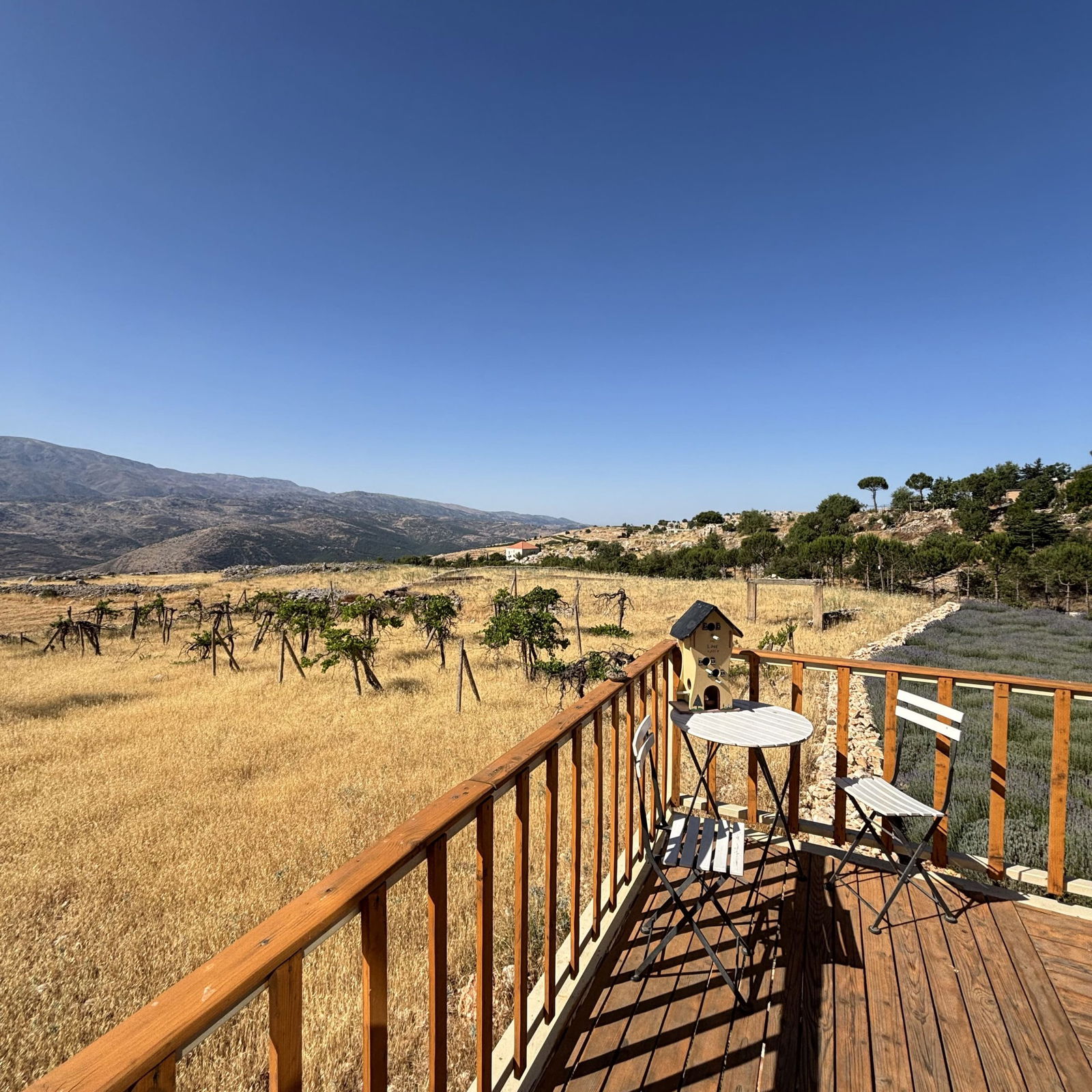 A Shaped Bungalow – Kfar Mishki, Beqaa