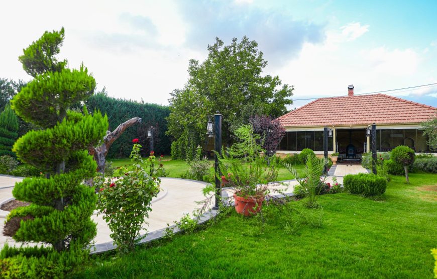 Private Pool (Day Use) – Anjar, Beqaa