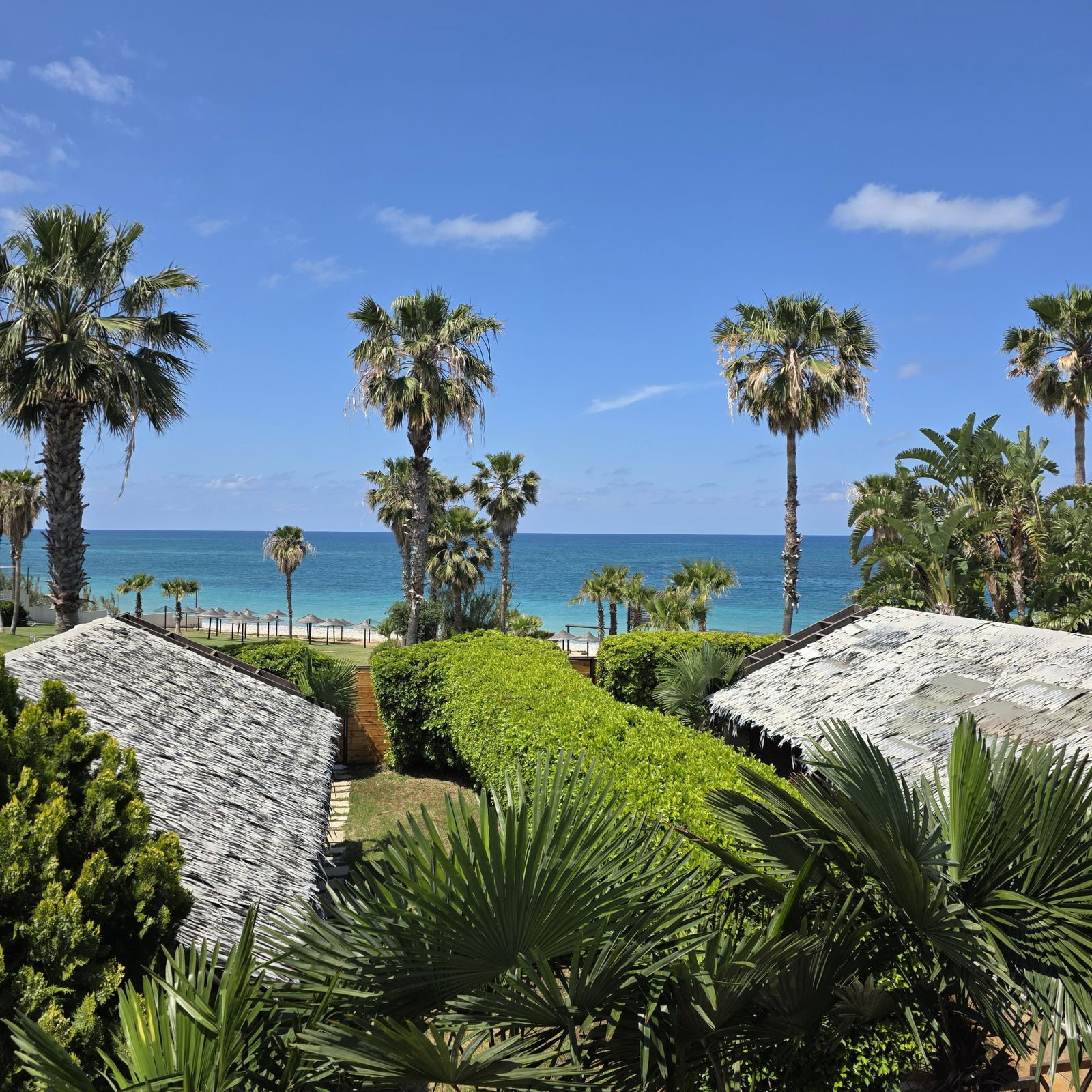 Beach Resort – Sour